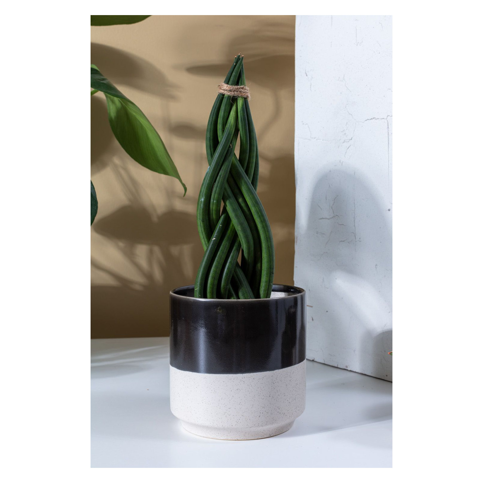 Ceramic Pot Planter, Black