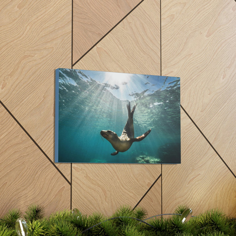 No Frame Print on Canvas, 27.94cm H x 35.56cm W