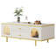 Adanely Coffee Table with Storage
