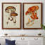 Toile encadrée de qualité supérieure Mushroom Variétés VI - prête à être accrochée-929069158-929069177