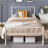 Delaenie Metal Platform Bed-2054977484-2054977472