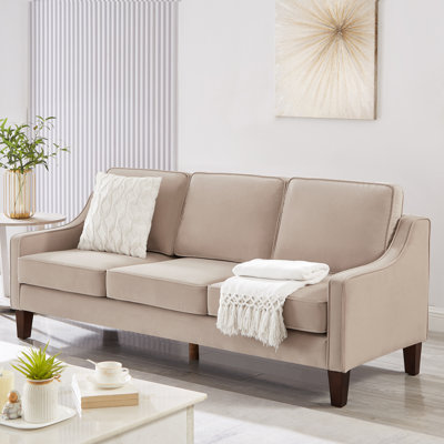 Luxueux canapé moderne en velours pour le salon ou la chambre à coucher