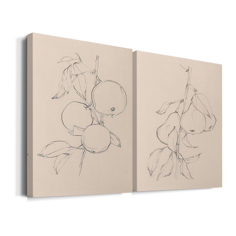 «Fruit Contour Study I», toile tendue avec châssis - Prêt à accrocher, H 18 po x l 24 po
