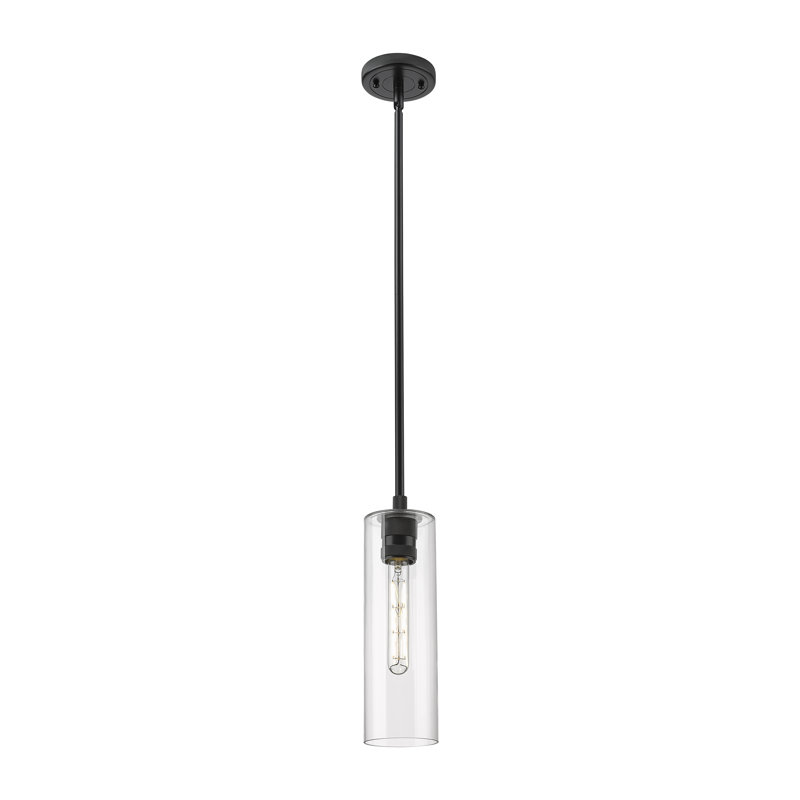 Luminaire suspendu 1 tige Crown Point, Clair, H 13,25 po x l 4,5 po x P 4,5 po, Noir mat