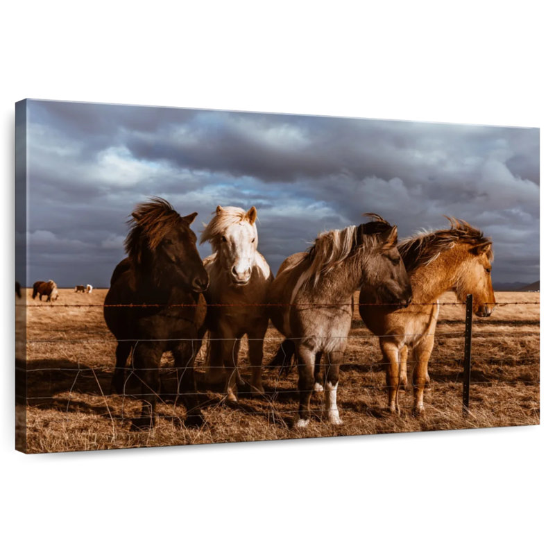 Brampt Iceland Pony, 32" H x 48" W
