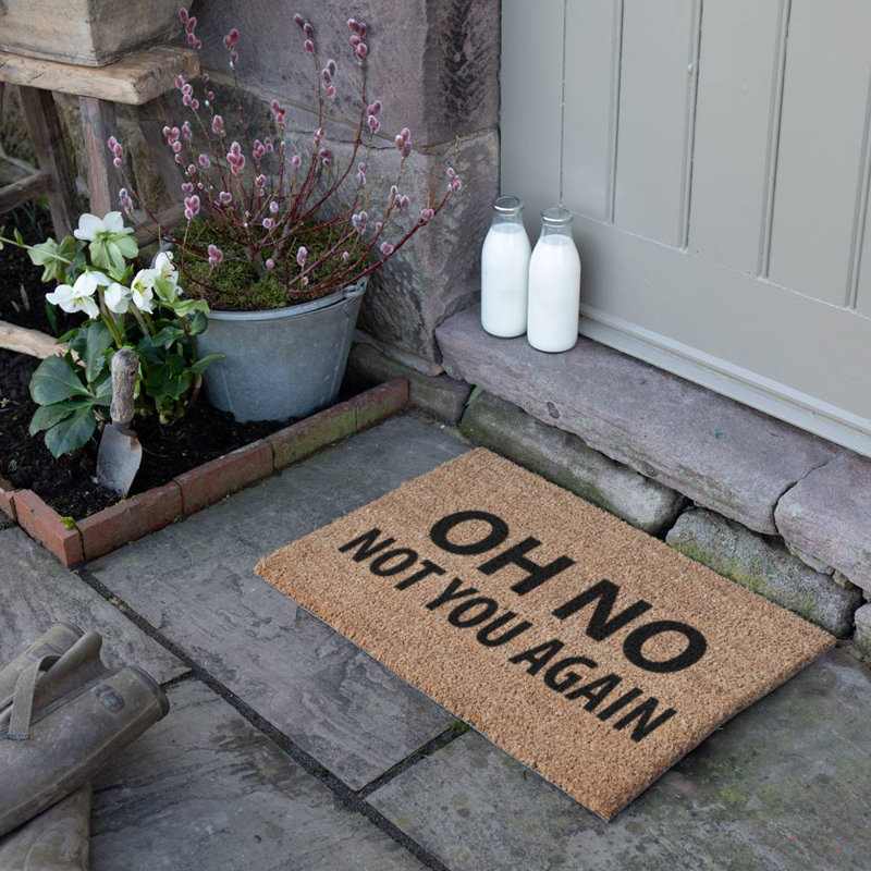 Addilynn Non-Slip Outdoor Doormat