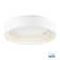 ICorona LED Flush Mount