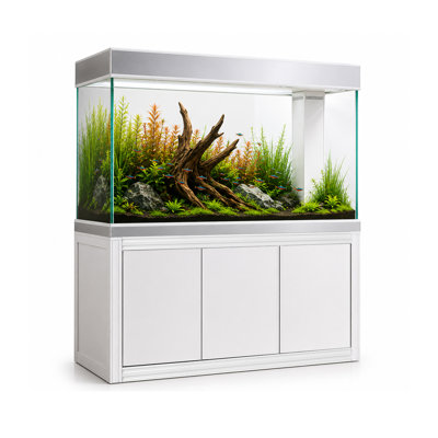 Réservoir d'aquarium 50 gallons