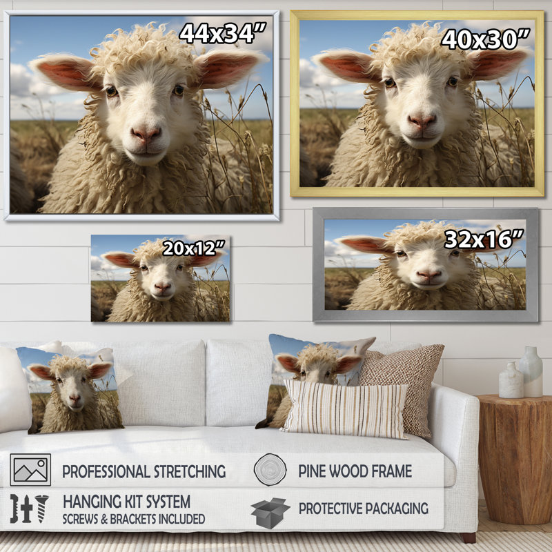 Sheep Portrait II - Animals Wall Art Living Room, H 24 po x l 32 po x P 1 po, Cadre photo noir