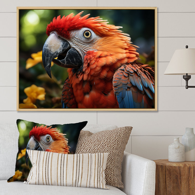 Vibrant Parrot Portrait III - Animals Canvas Art Print, 34" H x 44" W, White Picture Framed