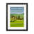 Black Framed