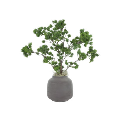 Pin Ming dans un vase Fiberstone