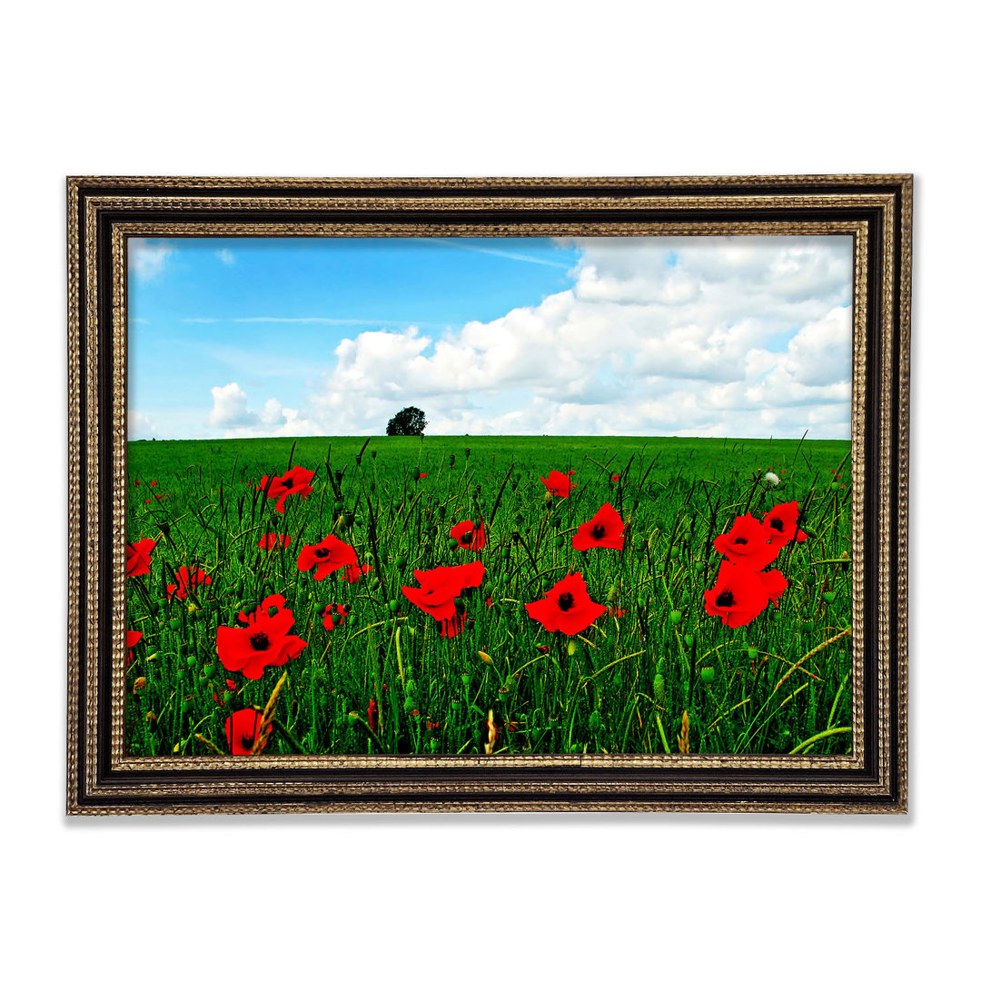 Gerahmter Kunstdruck Poppy Fields On A Cloudy Day