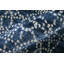 Tapis floral et botanique transitionnel Olivier-1490851288-1490851289