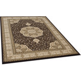 Alezia Oriental Area Rug in Brown/Beige