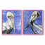«Pelican Pool I», reproduction encadrée de qualité supérieure - prête à être accrochée - aucun clou requis - aucun clou requis-674398799-674398802