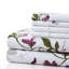 Lot de draps-219665943