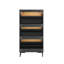 10 Pair Shoe Storage Cabinet