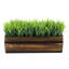 Fausse plante artificielle en bois