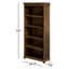 Soni Standard Bookcase