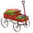 Chasitty Planter-1741917176