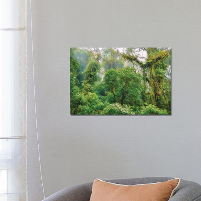 Mountain Jungle 1 Piece Wall Art on Canvas
