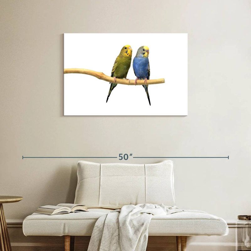 Blue And Yellow Parakeets, H 24 po x l 36 po