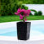 Planter Box-1384597191