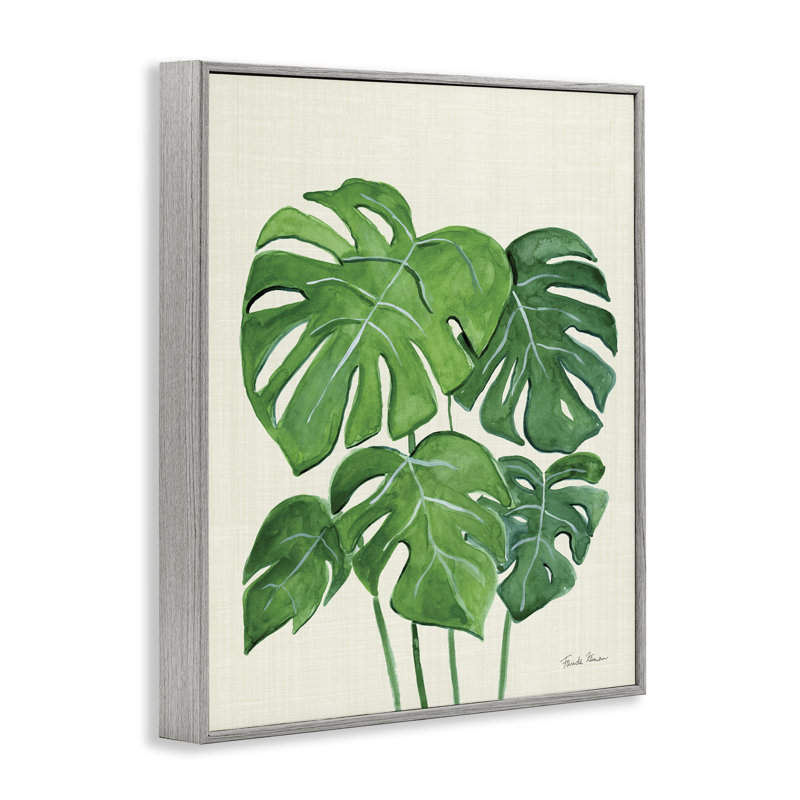 «Green Monstera» par Farida Zaman bg-021, Estampe numérique Farmhouse, H 30 po x l 24 po