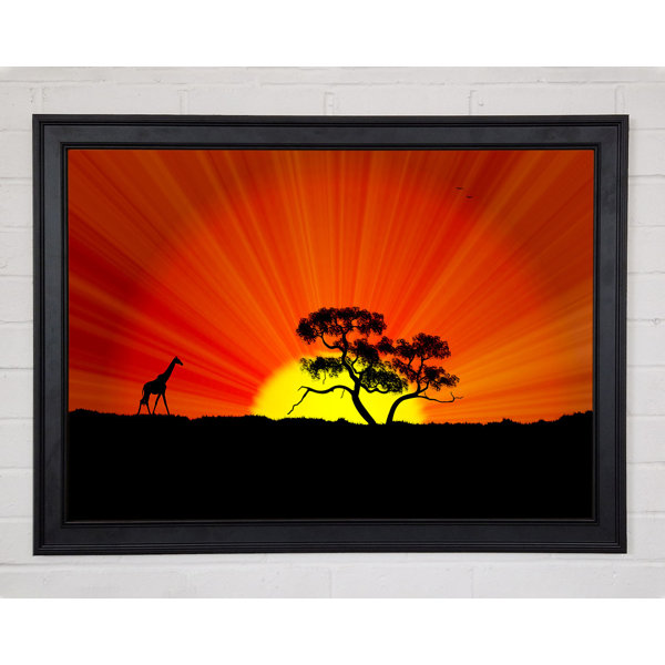 Ebern Designs African Sunblaze - Single Picture Frame Print | Wayfair.co.uk