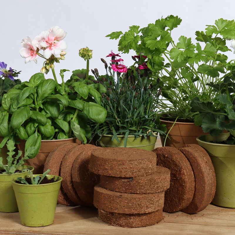 Dallas Esprit Indoor Ceramic Pottery Kit