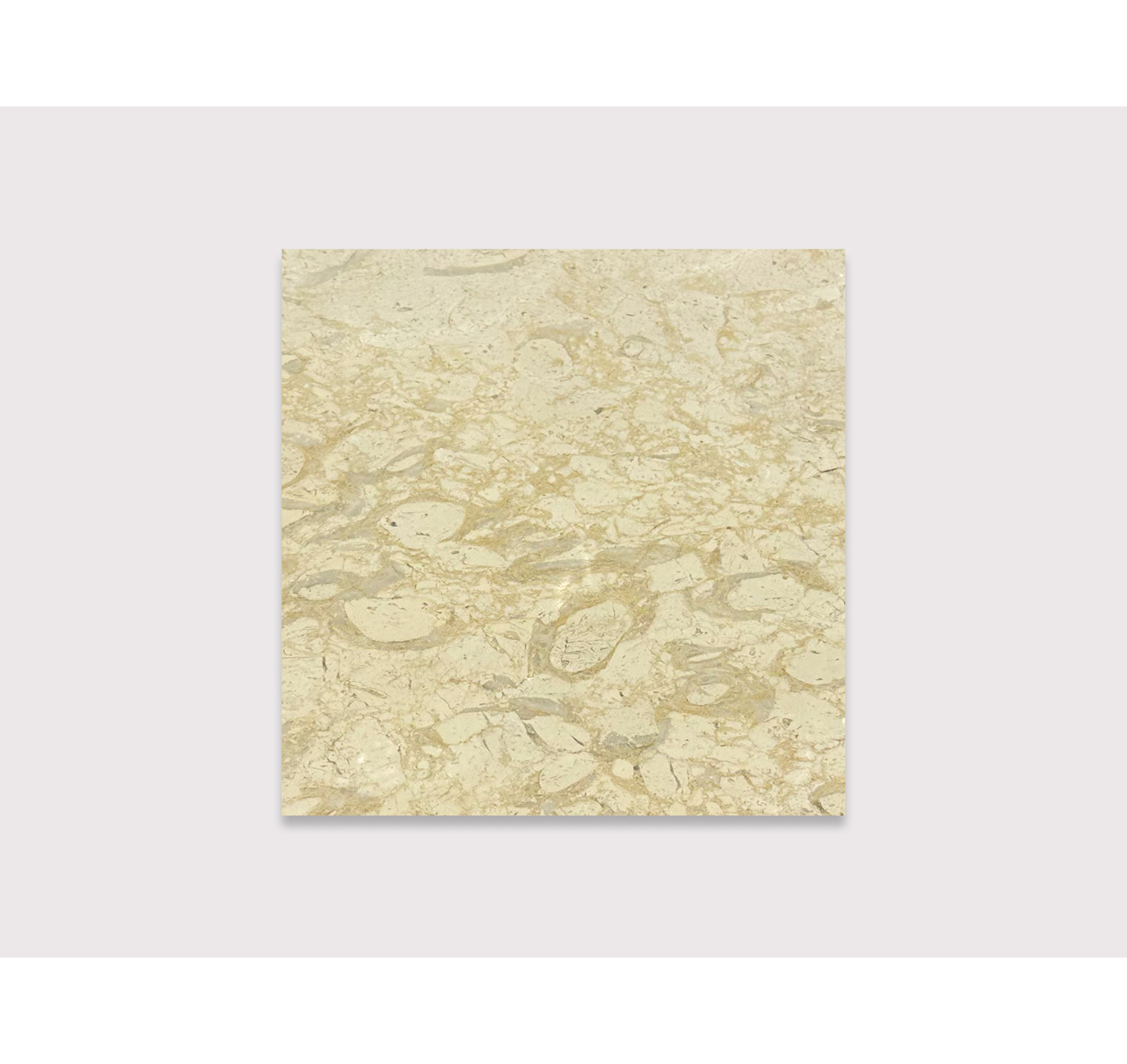 Pearl 16" x 16" Tile