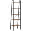 Fantasia Standing Shelf Storage Organiser Shelf Rack Ladder Shelf Bookshelf-1471468506-1471468508