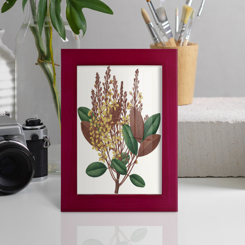 Fall Foliage II, reproduction d'art encadrée, Rouge, H 9 po x l 7 po x P 1 po