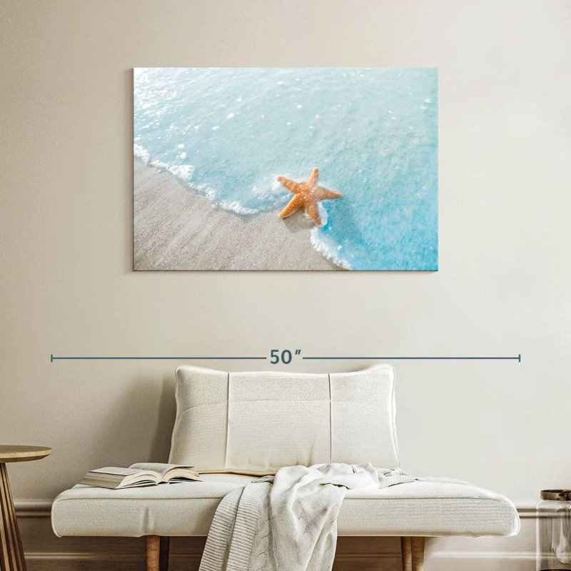 Seaside sea star Aletra