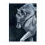 The White Stallion Painting by D’Alessandro Léon-26765147-26765149
