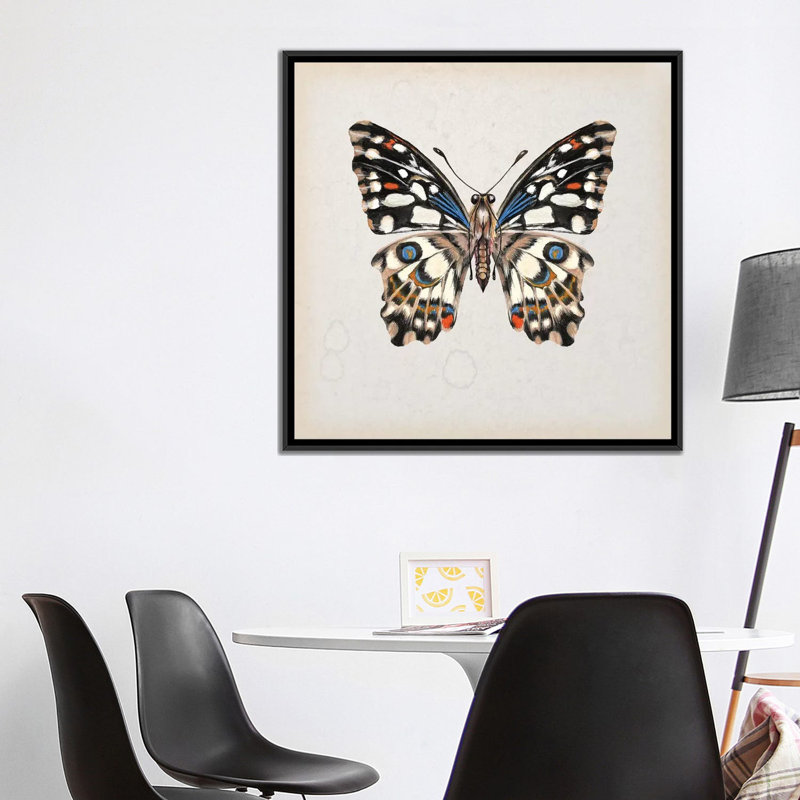 « papillon study ii », impression sur toile, H 18 po x l 18 po x P 1,5 po, Toile avec cadre noir, Pas de tapis