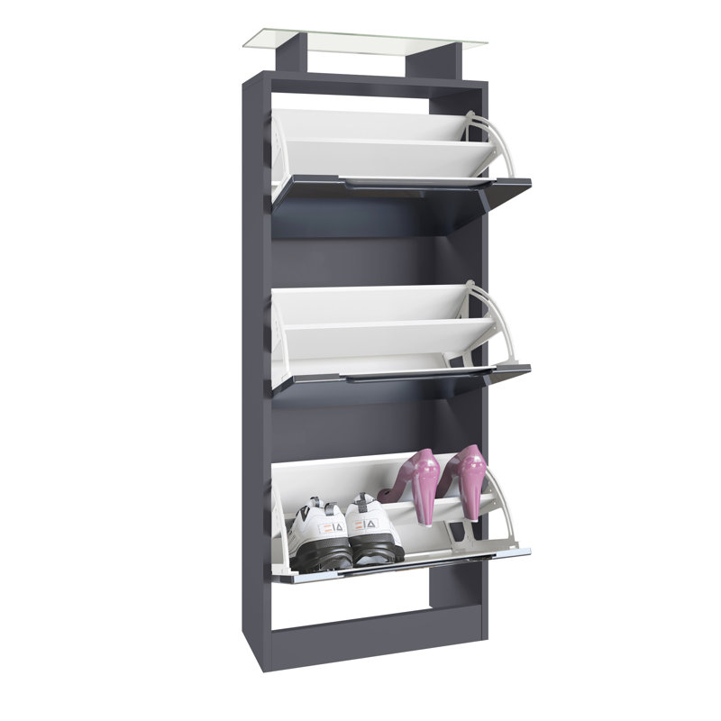 12 Pair Shoe Storage Cabinet, Anthracite/White
