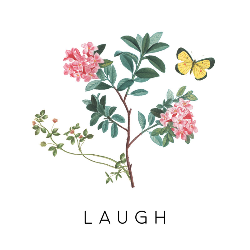 Victorian Garden Bright VIII by Wild Apple Portfolio - Wrapped Canvas Print, 30cm H x 30cm W