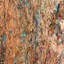 Teng Fei's Everlasting Elegy