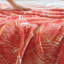 Tommy Bahama Bamboo Woven Cotton Reversible Blanket