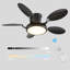 Argimiro 122cm Ceiling Fan with LED Lights