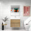 Ensemble de meuble-lavabo mural simple l 30 po-159846588