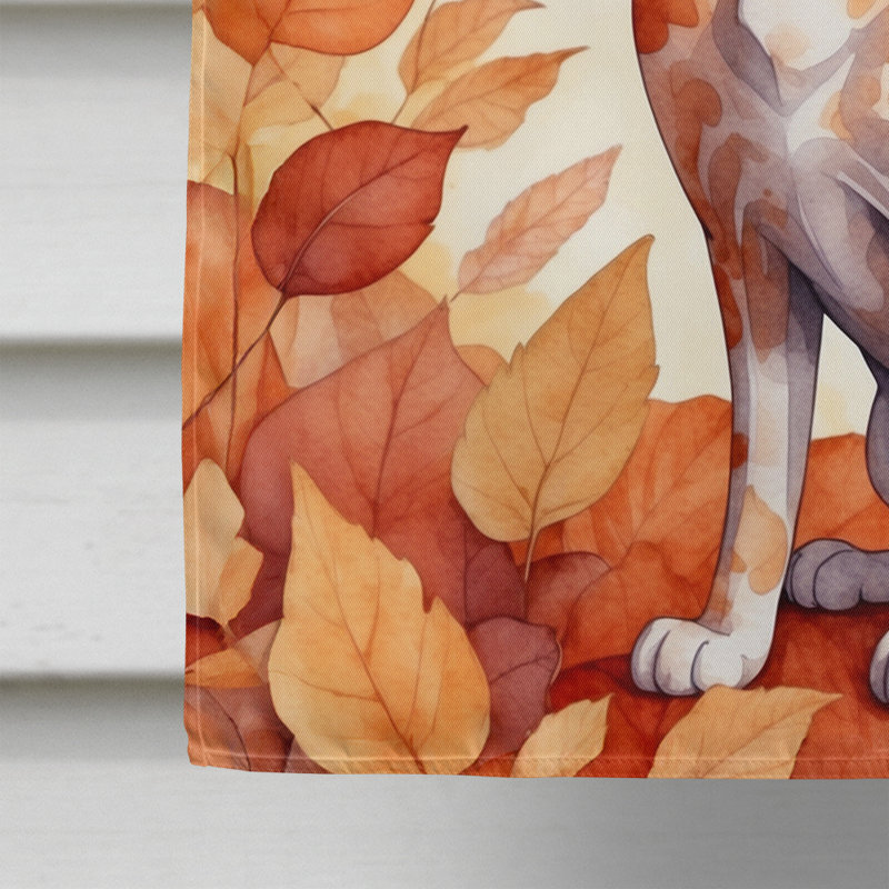 Chat en feuilles d'automne, Devon Rex