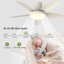106cm Ceiling Fan with LED Lights-1343982825-1343982826