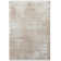 Oriental Indoor Rug