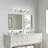 Haines 4 - Light Dimmable Vanity Light-826687813