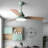 Janovia 48'' Ceiling Fan with LED Lights-1118487064