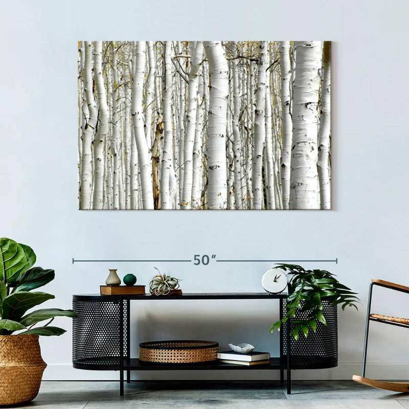 Bois de bouleau Alvord, H 32 po x l 48 po