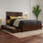 Lamaiyah Solid Wood Platform Bed with Footboard and Storage Drawers-394844271-394844266